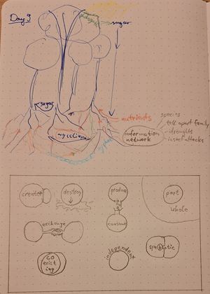 Sketch of a forest with mycelium network and exchanges of sugar, nutrients, and information among trees and between trees and fungi. Below it, a rough pencilled draft of a zine page showing systems and how they can relate to each other: create; destroy; produce/consume; part/whole; exchange; coexist; independent; symbiotic